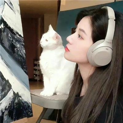 小杜丽